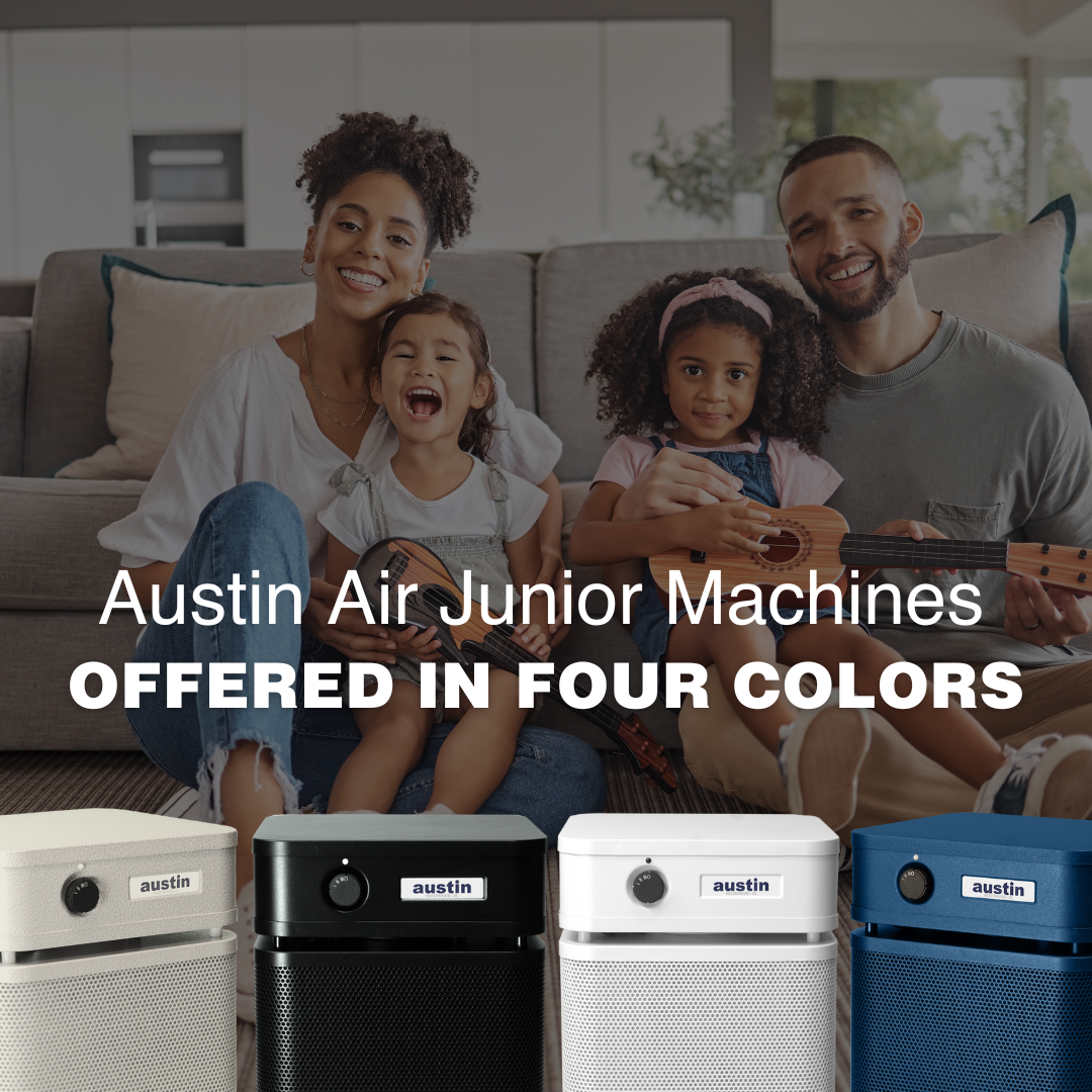Austin Air HealthMate Jr. Air Purifier HM200