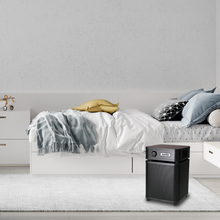 Load image into Gallery viewer, Austin Air HealthMate Jr. Air Purifier HM200